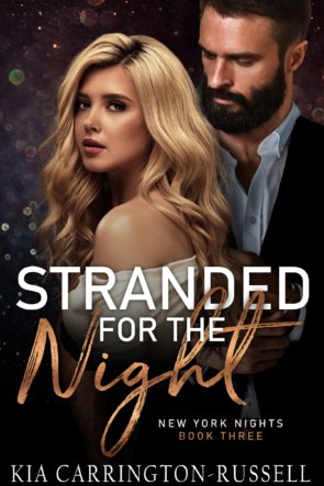 Stranded for the Night eBook